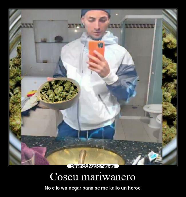 Coscu mariwanero - 