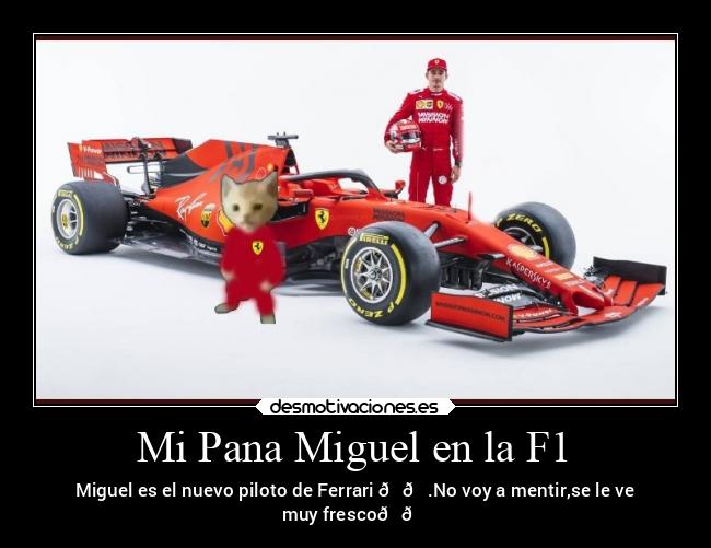 carteles abrazos desmotivaciones