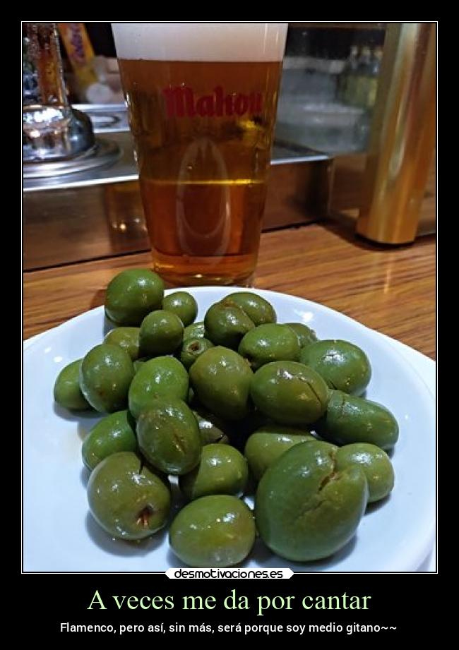 carteles alegria vivocomounmarques frasesparaelrecuerdo gitanos flamenco tapasconcervezafria desmotivaciones