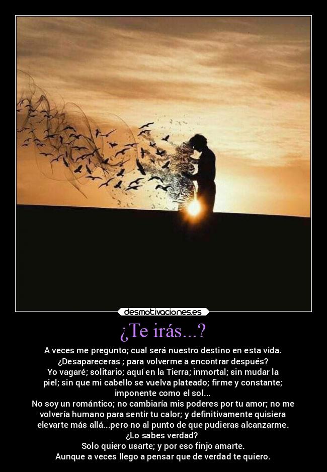 ¿Te irás...? - A veces me pregunto; cual será nuestro destino en esta vida.
¿Desapareceras ; para volverme a encontrar después?
Yo vagaré; solitario; aquí en la Tierra; inmortal; sin mudar la
piel; sin que mi cabello se vuelva plateado; firme y constante;
imponente como el sol...
No soy un romántico; no cambiaría mis poderes por tu amor; no me
volvería humano para sentir tu calor; y definitivamente quisiera
elevarte más allá...pero no al punto de que pudieras alcanzarme.
¿Lo sabes verdad?
Solo quiero usarte; y por eso finjo amarte.
Aunque a veces llego a pensar que de verdad te quiero.