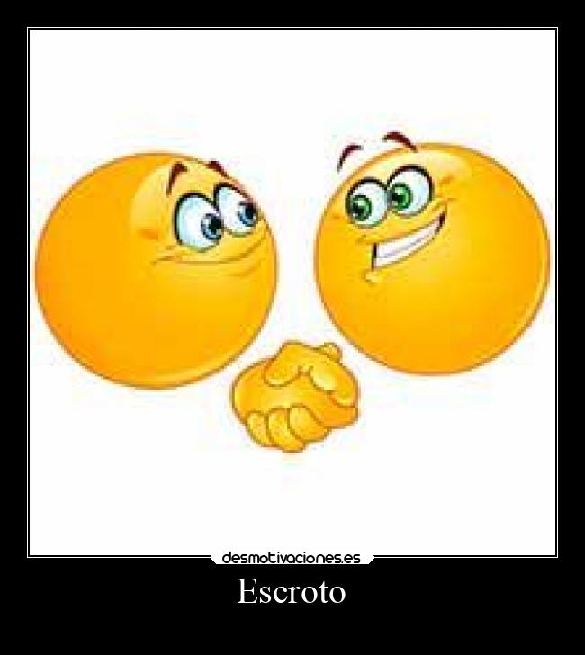 Escroto - 