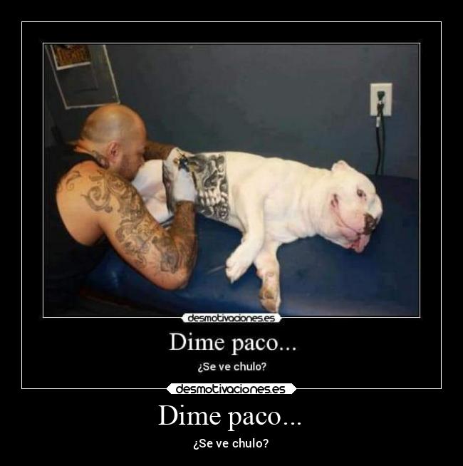 carteles alma paco chulo desmotivaciones