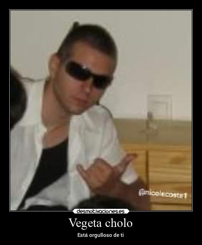 Vegeta cholo - Está orgulloso de ti