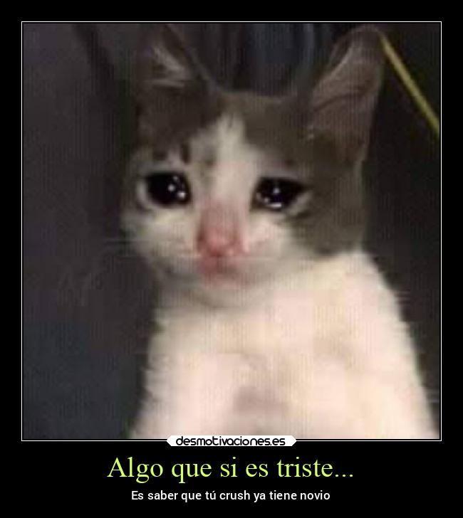 Algo que si es triste... -