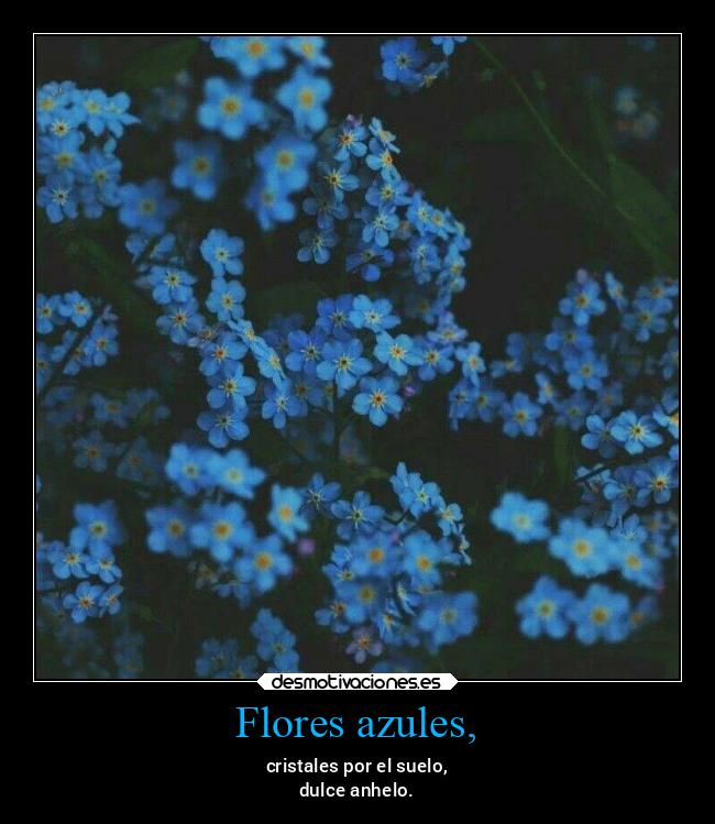 Flores azules, - cristales por el suelo,
dulce anhelo.