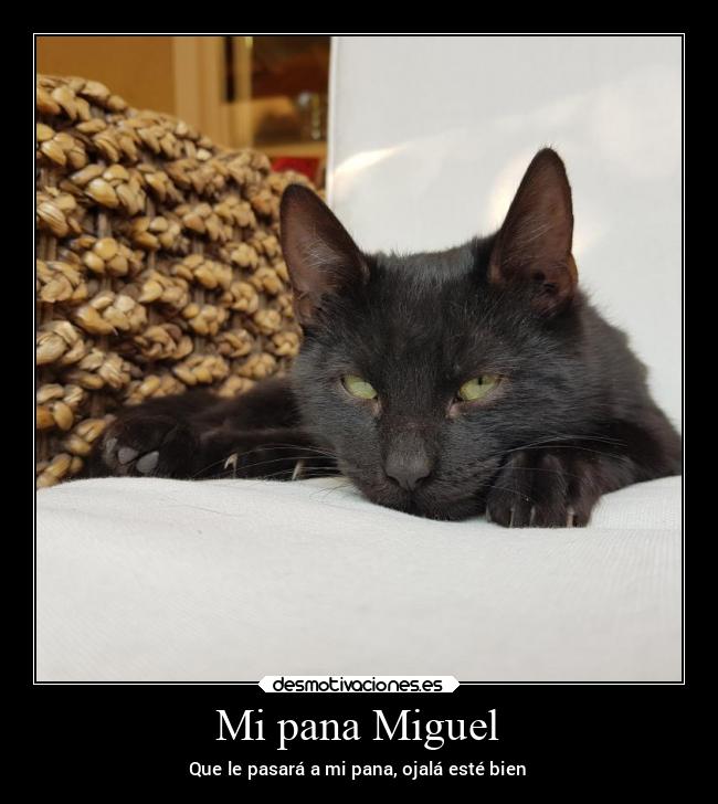 Mi pana Miguel - Que le pasará a mi pana, ojalá esté bien