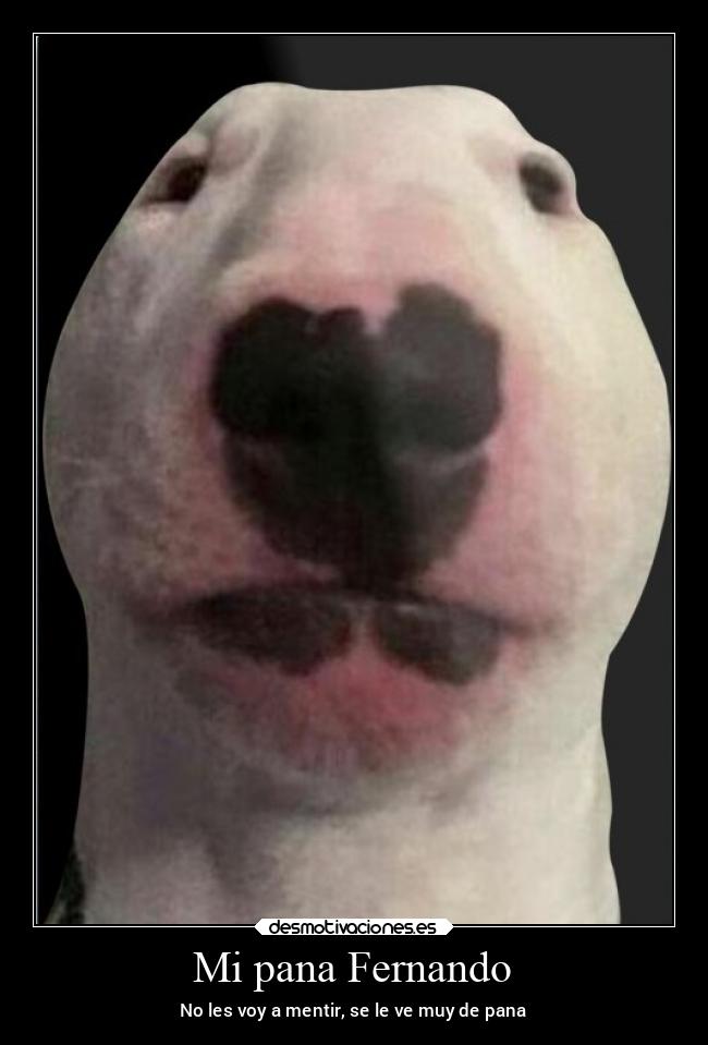 Mi pana Fernando - 