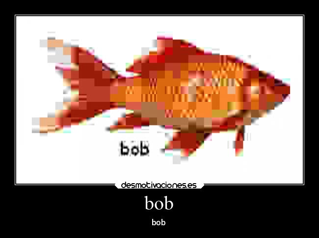bob -