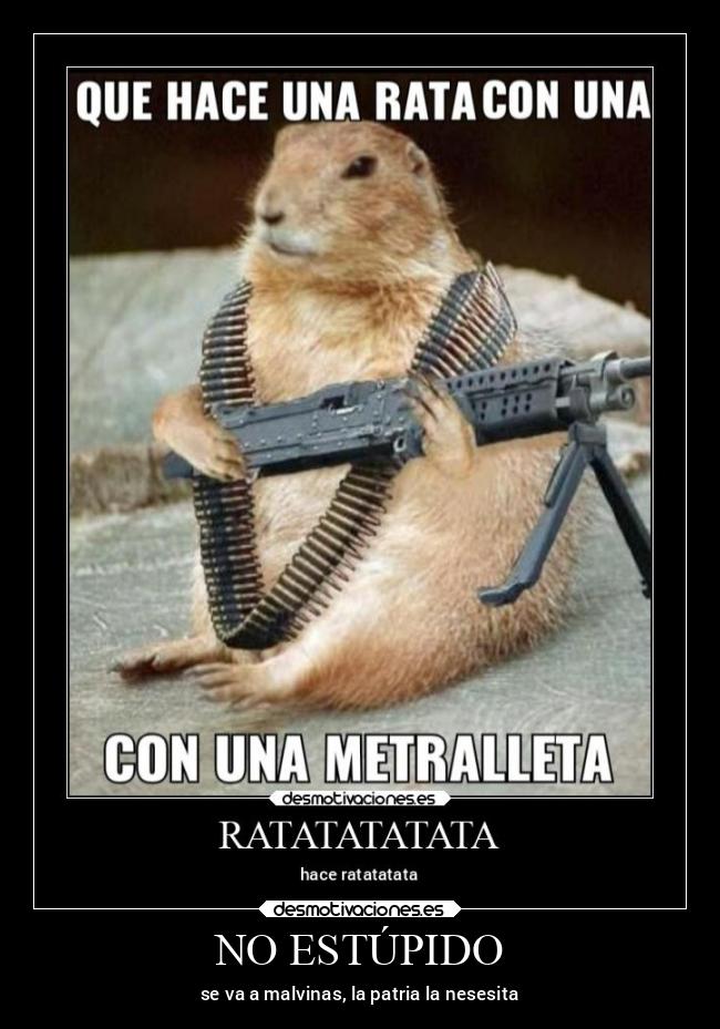 NO ESTÚPIDO - se va a malvinas, la patria la nesesita