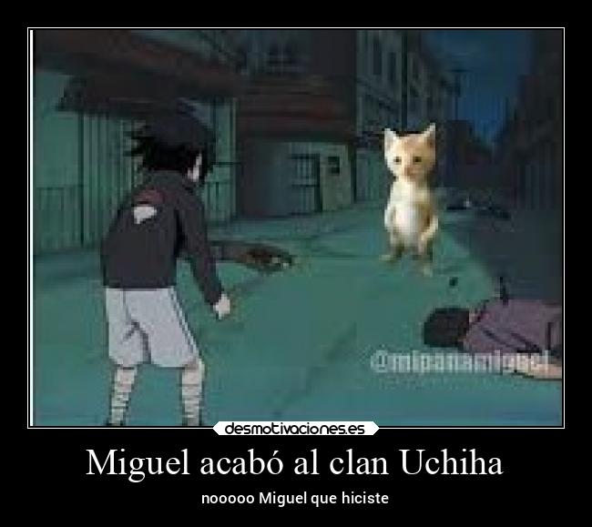 carteles animales miguel noooooooooooooo desmotivaciones