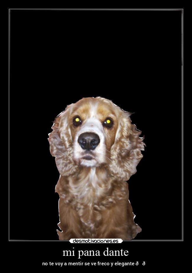 mi pana dante - no te voy a mentir se ve freco y elegante 😎👌