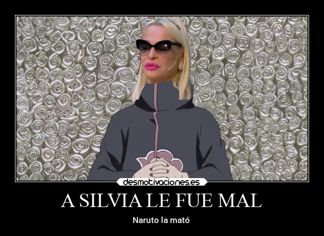 A SILVIA LE FUE MAL - 