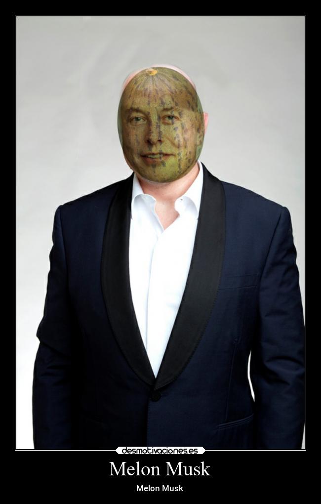 Melon Musk - Melon Musk