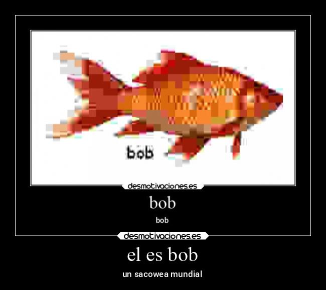 el es bob -