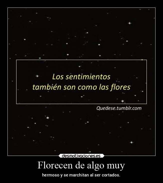 Florecen de algo muy - hermoso y se marchitan al ser cortados.