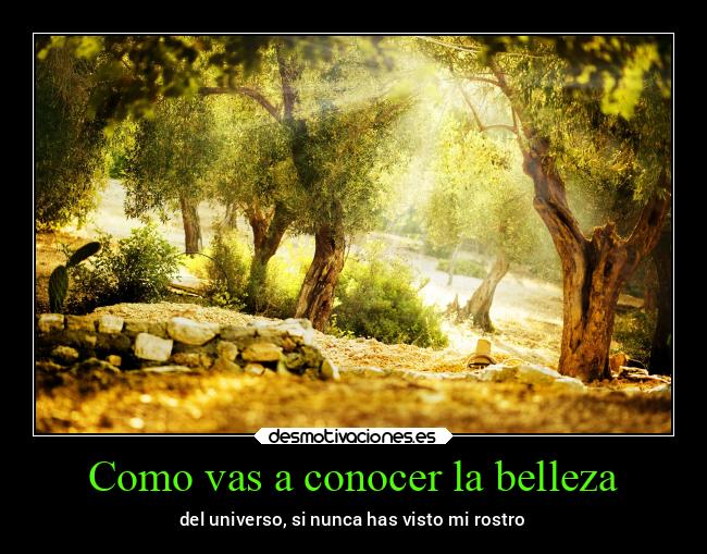 carteles besos desmovivetodavia2020 lasegundacola xdddddddddddddddddddddddddddddddddddddddddddddddd desmotivaciones