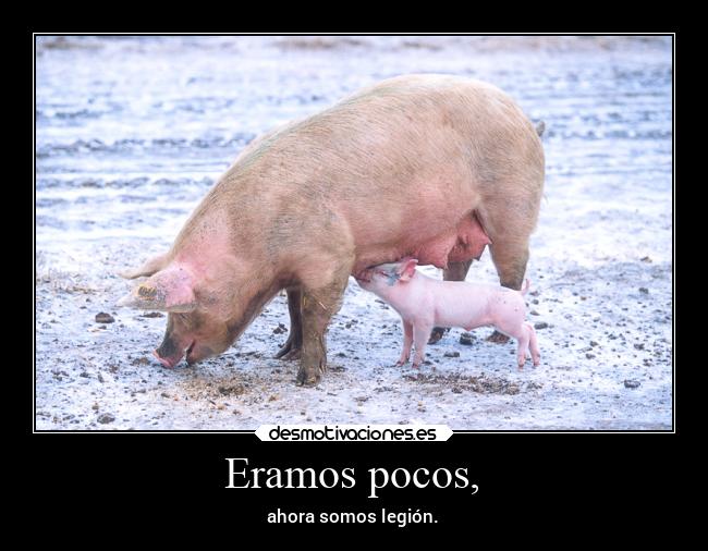 carteles bogota desmotivaciones