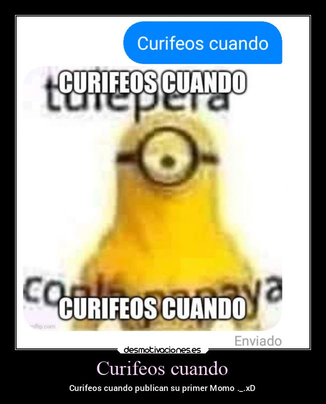 Curifeos cuando -