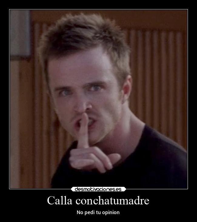 Calla conchatumadre - No pedi tu opinion