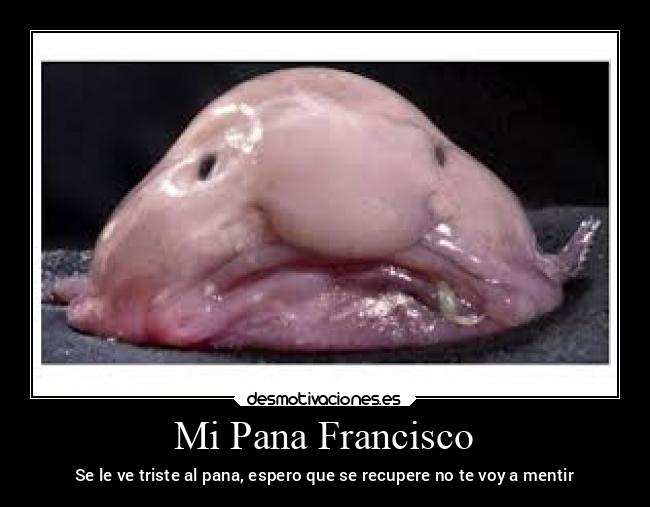 Mi Pana Francisco - Se le ve triste al pana, espero que se recupere no te voy a mentir