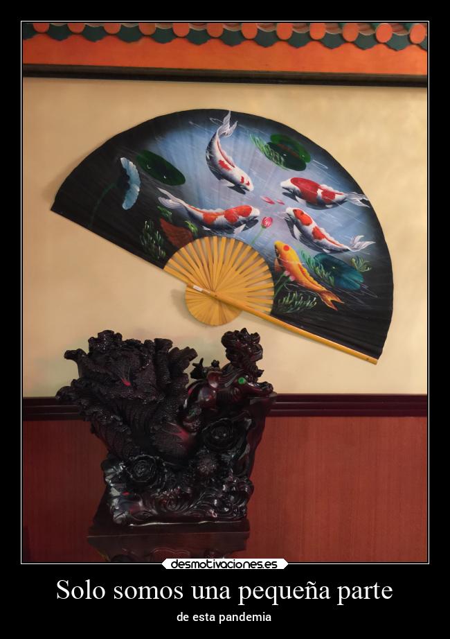Solo somos una pequeña parte - de esta pandemia