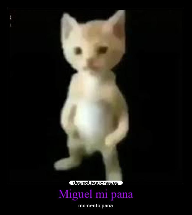 Miguel mi pana - momento pana