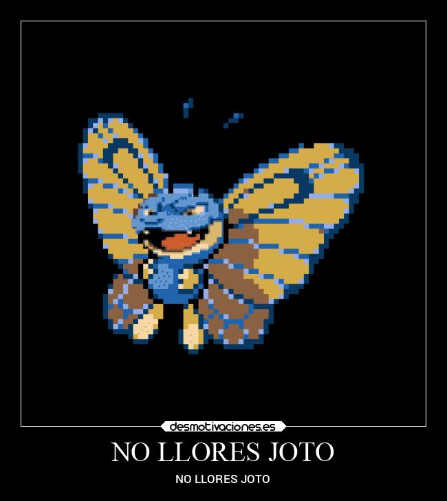 NO LLORES JOTO - NO LLORES JOTO