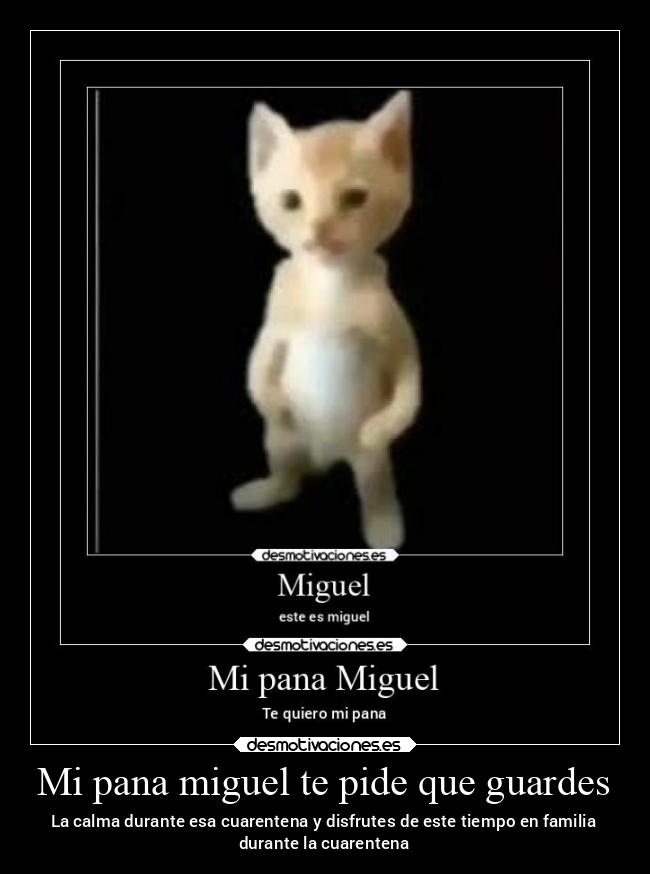 Mi pana miguel te pide que guardes - 