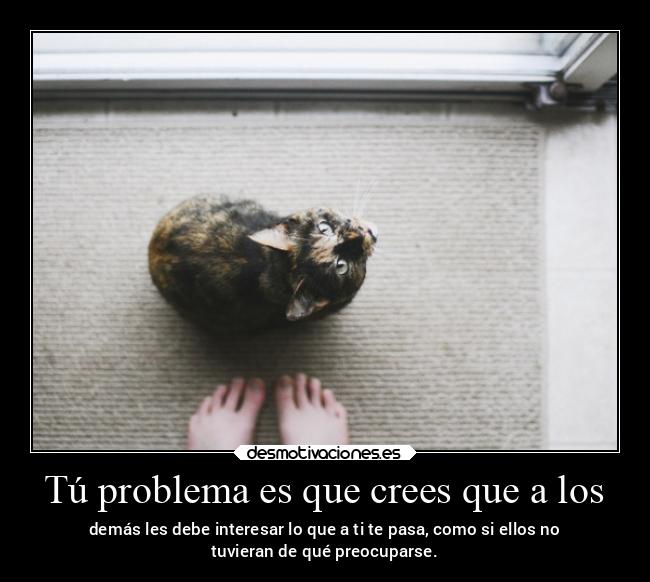 carteles desmotivaciones clandesplazado soyunidiotatm manada32 projectd lasegundacola desmovivetodavia2020 desmotivaciones