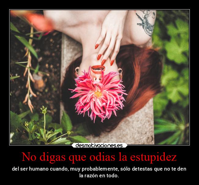 No digas que odias la estupidez - 