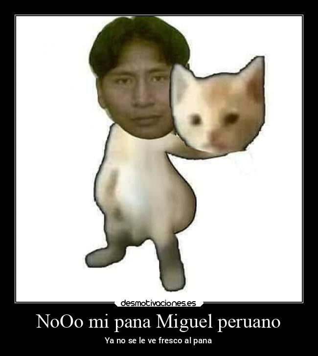 NoOo mi pana Miguel peruano - Ya no se le ve fresco al pana
