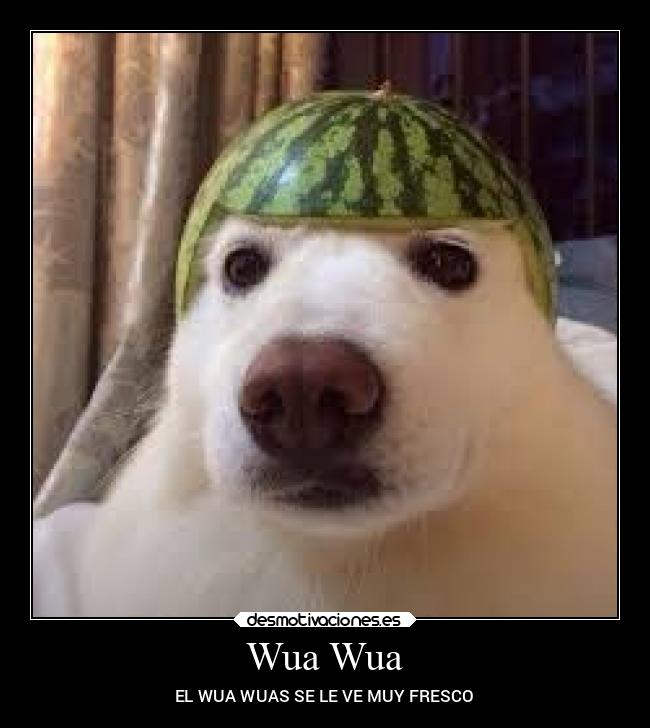 Wua Wua - EL WUA WUAS SE LE VE MUY FRESCO
