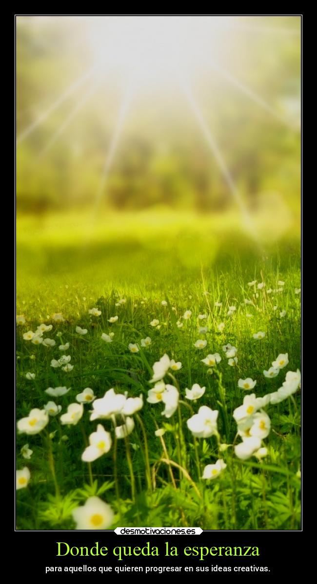 carteles esperanza vida chopper igbt desmovivetodavia2020 desmotivaciones