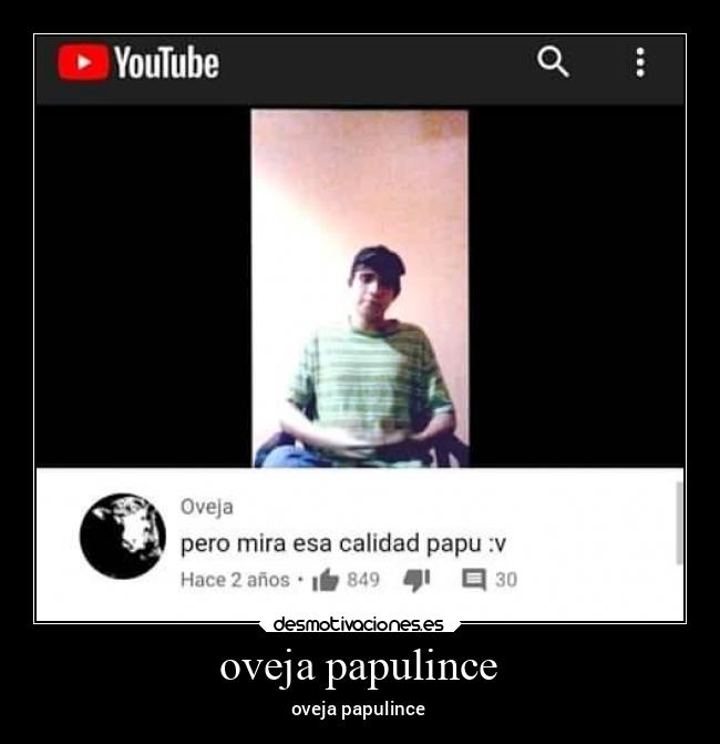oveja papulince - oveja papulince
