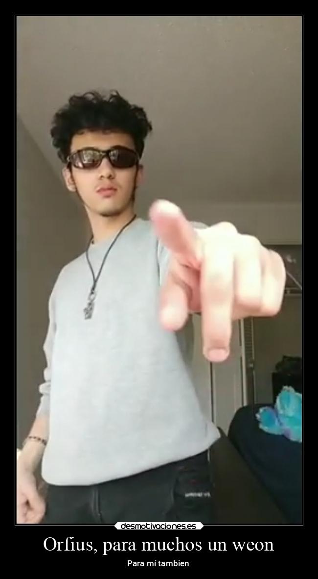 carteles graciosas meme orfius mates desmotivaciones