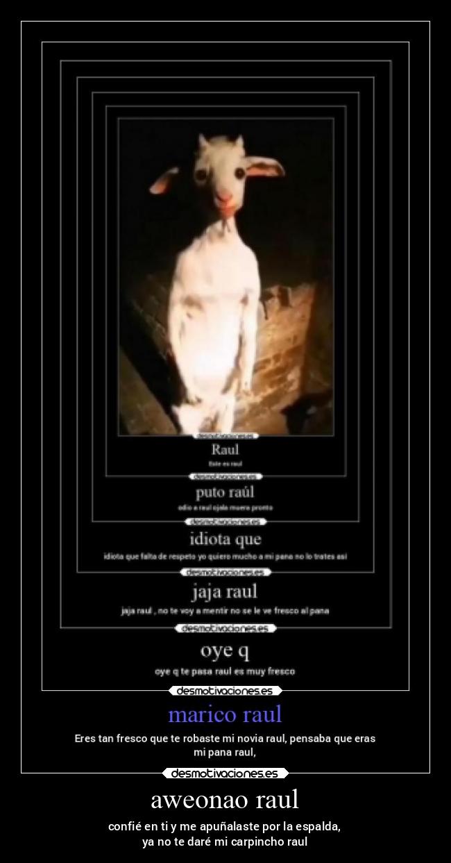 carteles humor cursed shitpost desmotivaciones