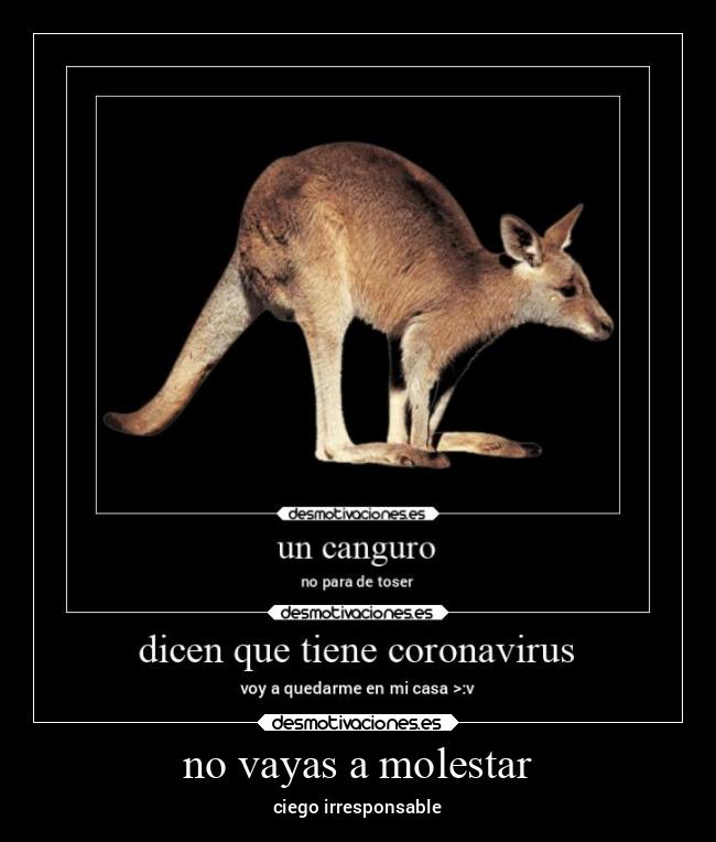 no vayas a molestar - ciego irresponsable