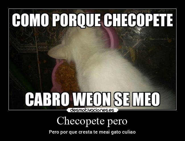 Checopete pero -