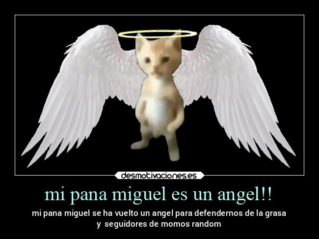 mi pana miguel es un angel!! - mi pana miguel se ha vuelto un angel para defendernos de la grasa
y seguidores de momos random