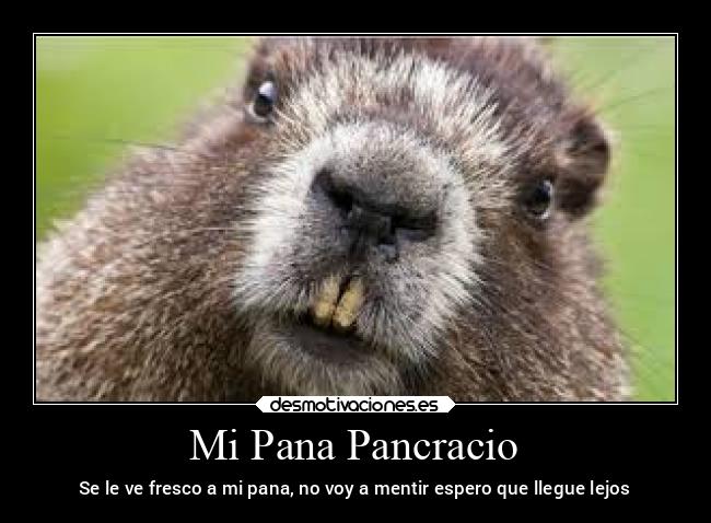 Mi Pana Pancracio - Se le ve fresco a mi pana, no voy a mentir espero que llegue lejos