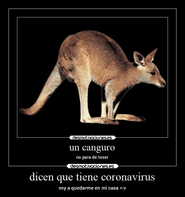 dicen que tiene coronavirus - voy a quedarme en mi casa >:v