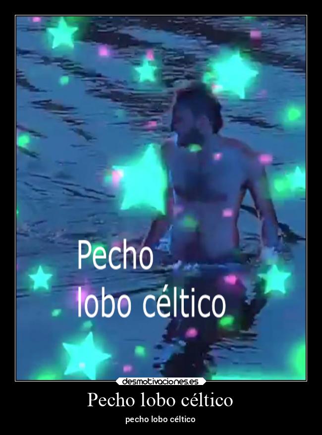 Pecho lobo céltico - pecho lobo céltico