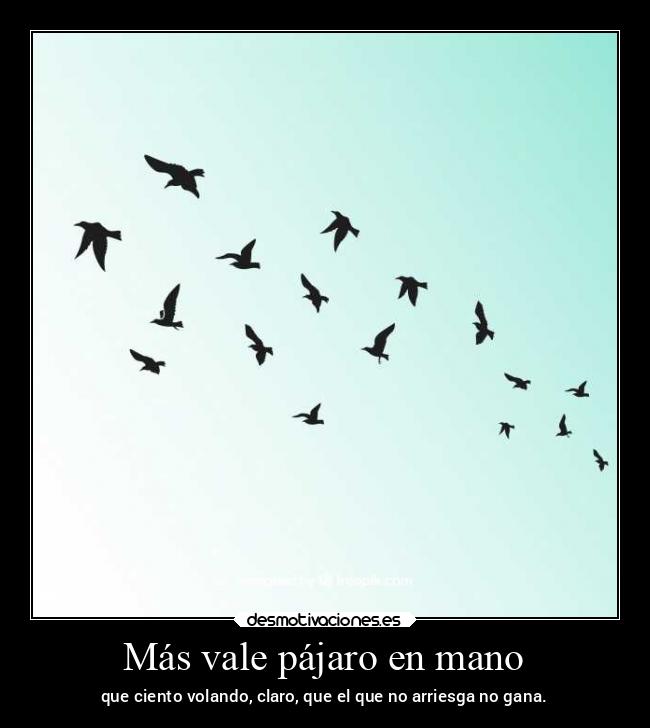 Más vale pájaro en mano - que ciento volando, claro, que el que no arriesga no gana.