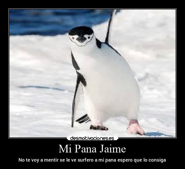 Mi Pana Jaime - No te voy a mentir se le ve surfero a mi pana espero que lo consiga
