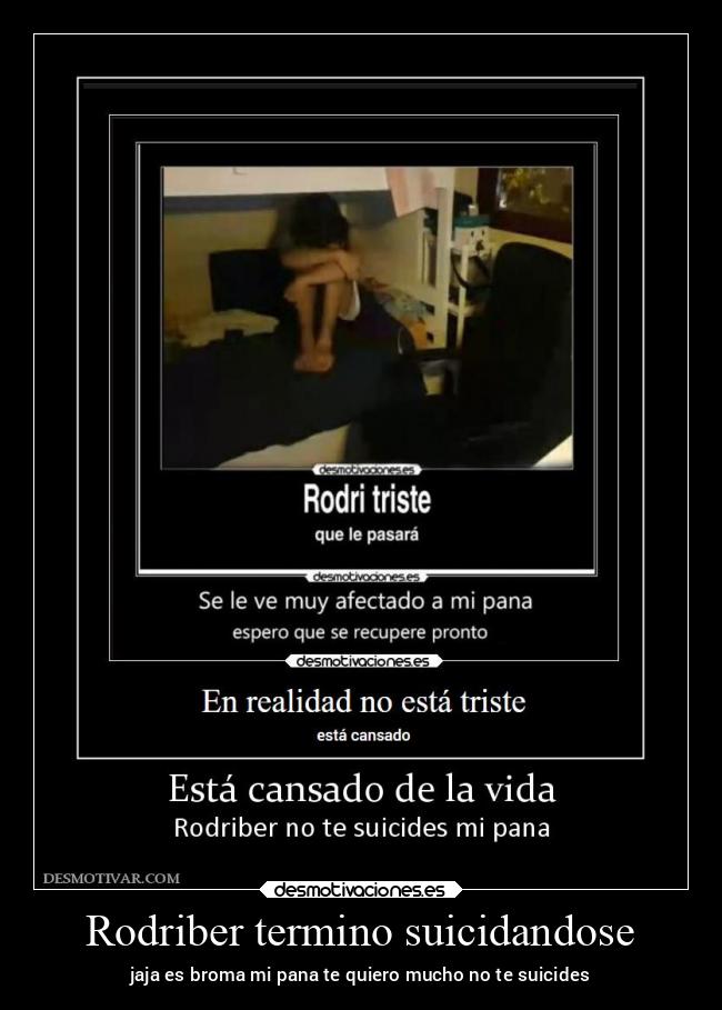 carteles tonto desmotivaciones