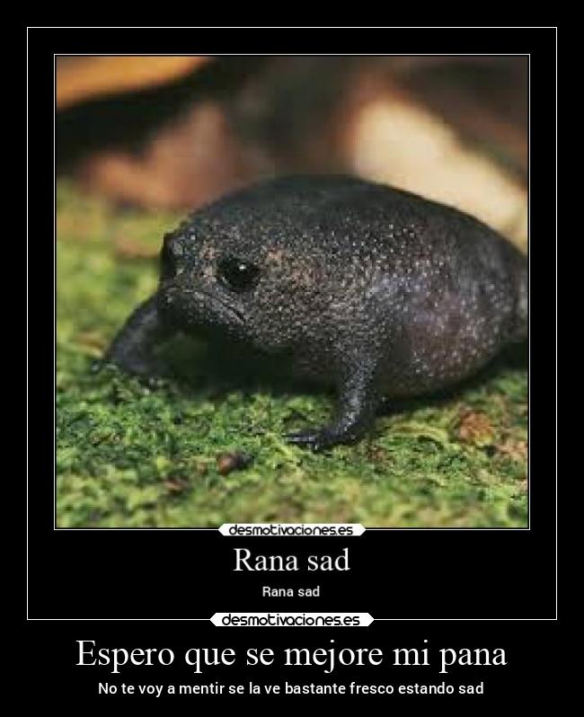 Espero que se mejore mi pana - No te voy a mentir se la ve bastante fresco estando sad