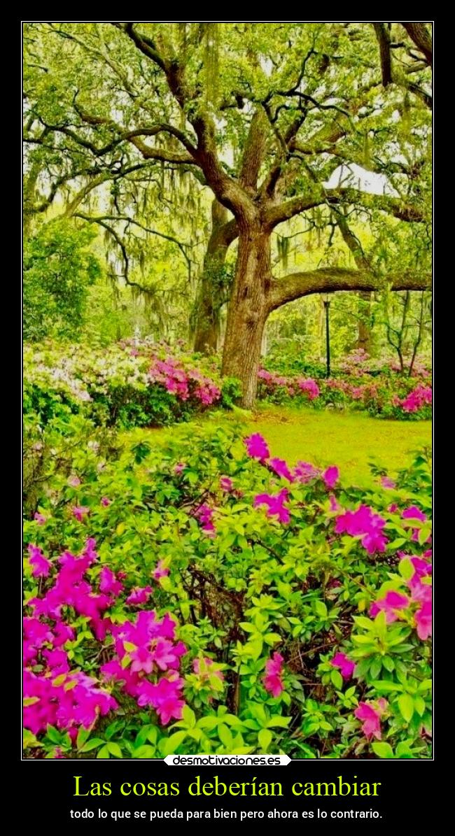 Las cosas deberían cambiar -