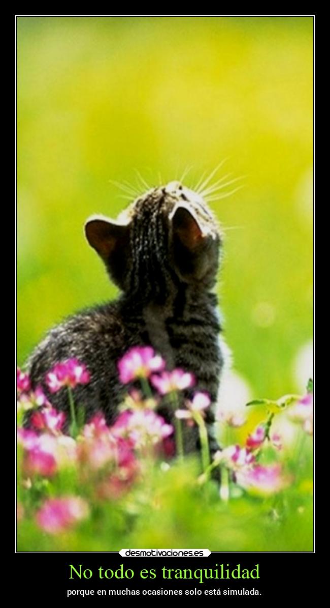 carteles vida chopper igbt desmovivetodavia2020 desmotivaciones