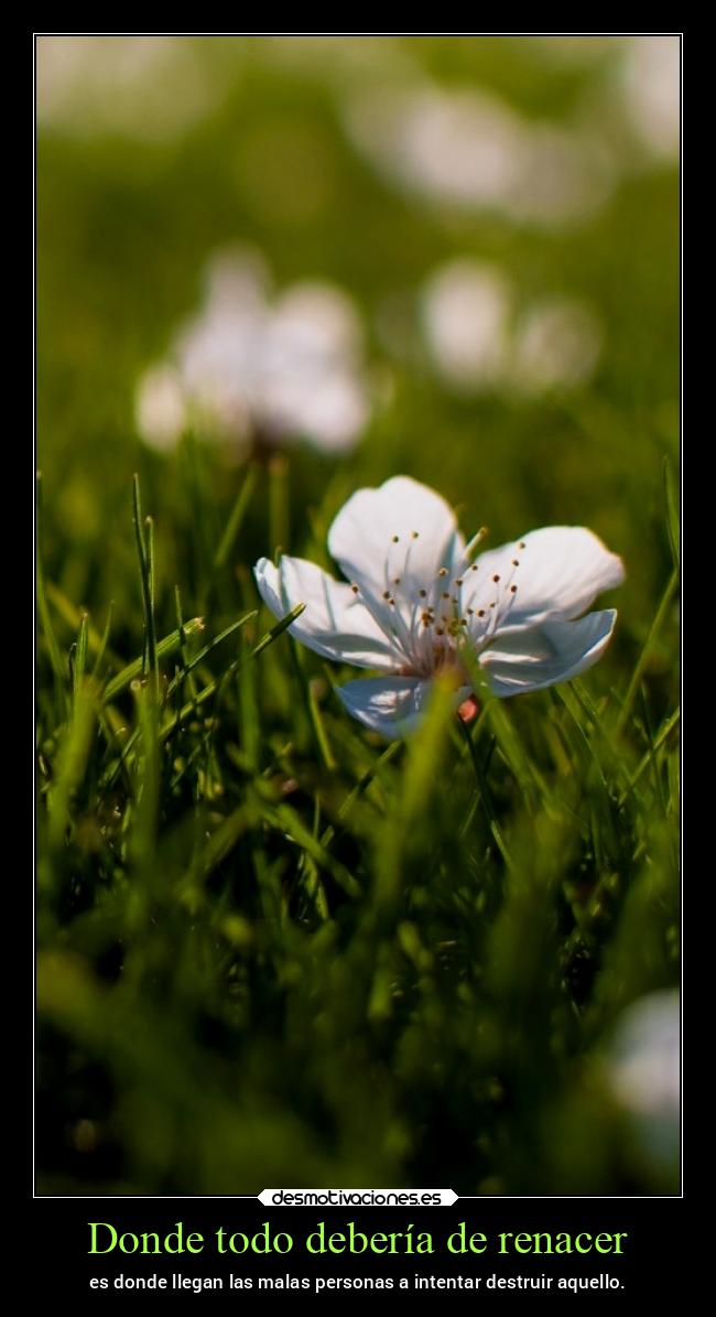 carteles vida chopper igbt desmovivetodavia2020 desmotivaciones