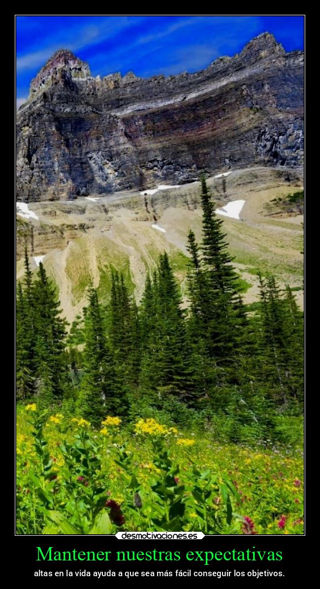 Mantener nuestras expectativas - 